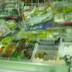 P1010037