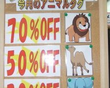 １０月アニマルセール　深井店