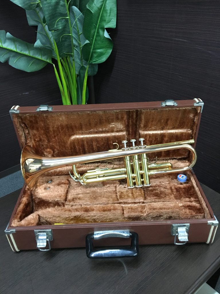 ジャングルジャングル和歌山店】【Wa1924】 エレキギター Ibanez