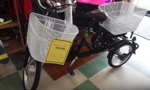 ジャングルジャングル貝塚店　電動三輪自転車　入荷しました！