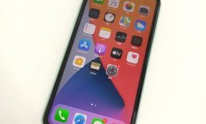 【ジャングル　ヤフオク】iPhone11 出品中♪