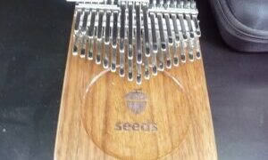 SEEDSのカリンバ（ケース付き）をお買取り致しました。♪【滋賀草津店】