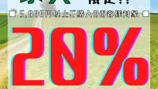 🚚家具お持ち帰り限定!!20%OFF!!