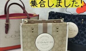 かわいいCOACHバッグ集合しました♪【堺初芝店】