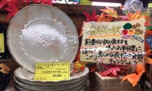 食欲の秋です。食卓を彩る食器沢山揃えています。【貝塚店】