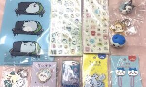 【岸和田店】なんか小さくてかわいいやつ